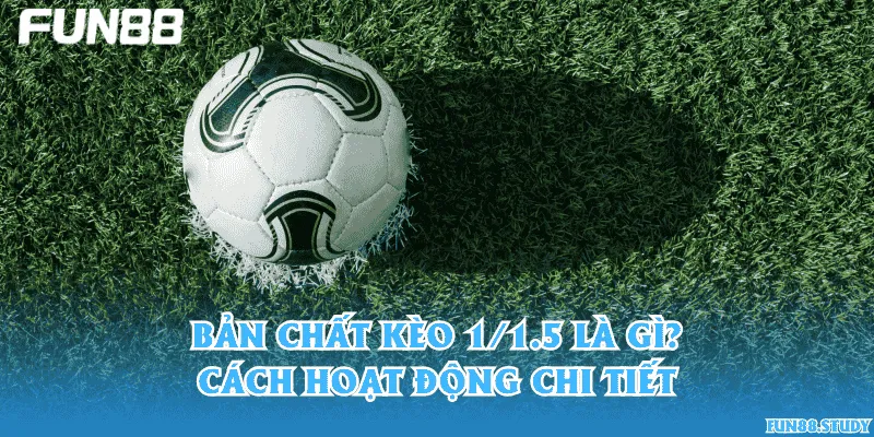 Bản chất kèo 1/1.5 là gì và cách hoạt động chi tiết