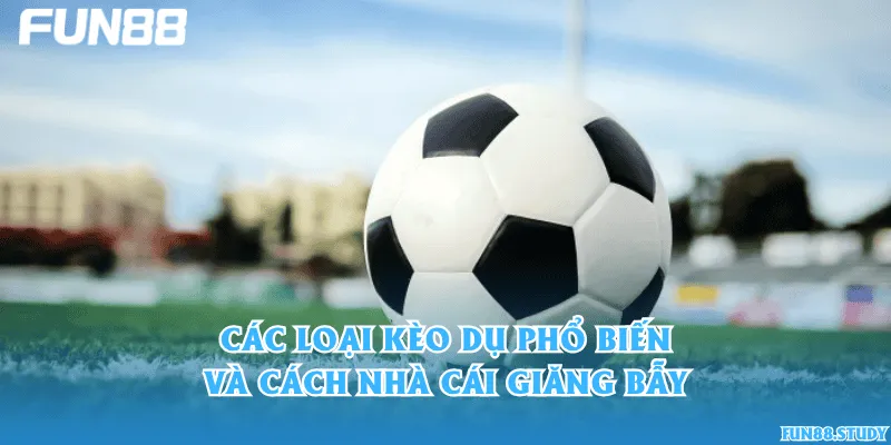 Các loại kèo dụ phổ biến và cách nhà cái giăng bẫy