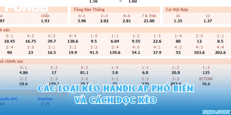 Các loại kèo handicap phổ biến và cách đọc kèo