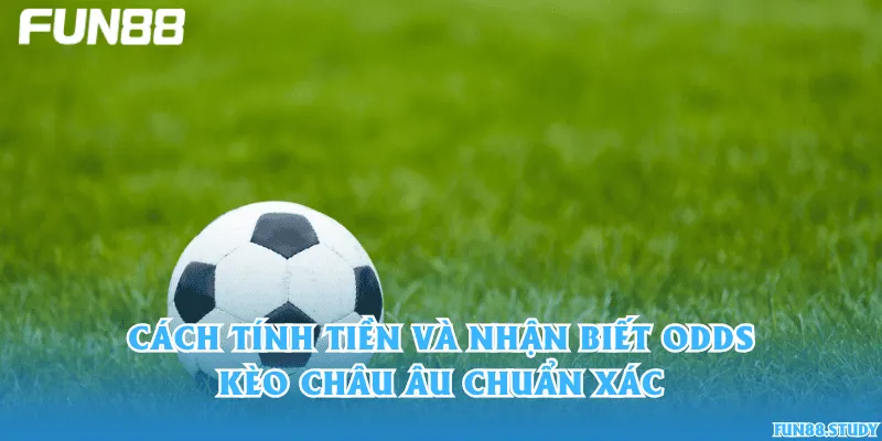 Cách tính tiền và nhận biết odds kèo châu Âu chuẩn xác
