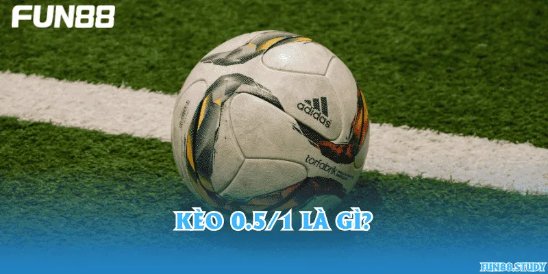 Kèo 0.5/1 là gì?