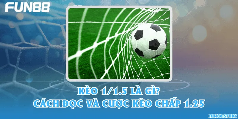 Kèo 1/1.5 là gì? Cách đọc và cược kèo chấp 1.25