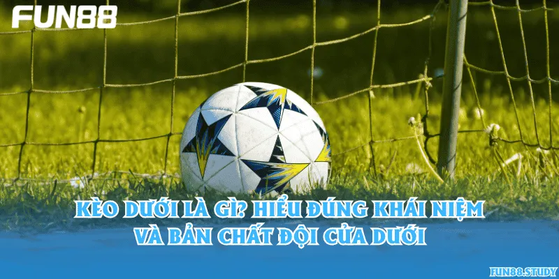 Kèo dưới là gì? Hiểu đúng khái niệm và bản chất đội cửa dưới