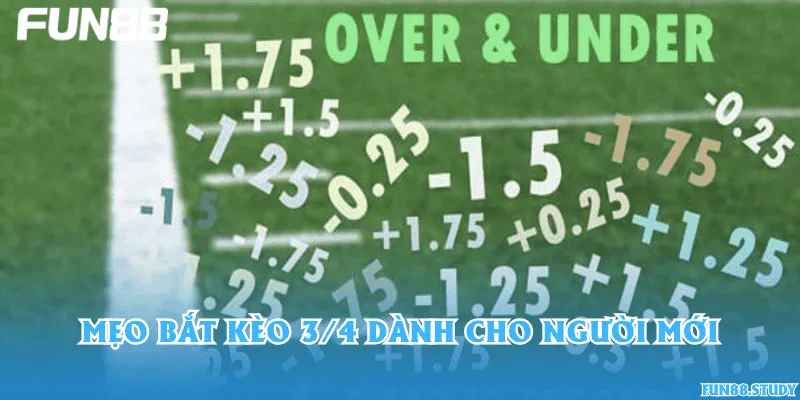 Mẹo bắt kèo 3/4 dành cho người mới