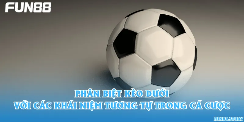 Phân biệt kèo dưới với các khái niệm tương tự trong cá cược