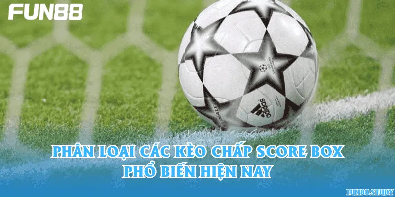 Phân loại các kèo chấp Score Box phổ biến hiện nay