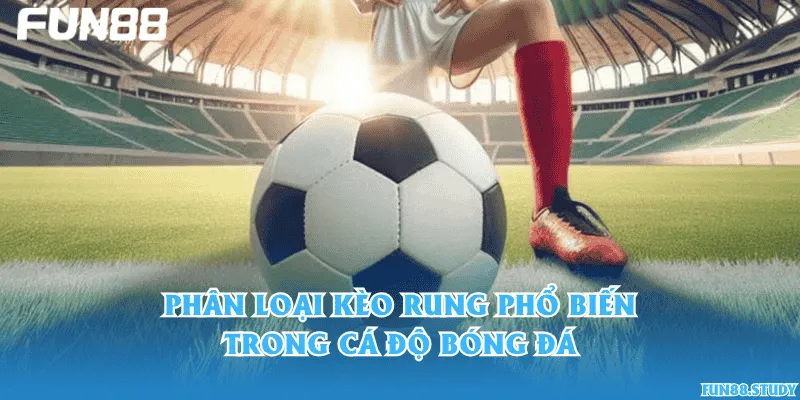 Phân loại kèo rung phổ biến trong cá độ bóng đá