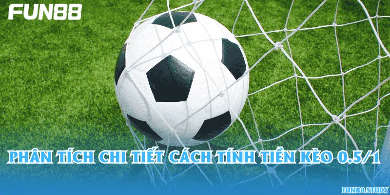 Phân tích chi tiết cách tính tiền kèo 0.5/1